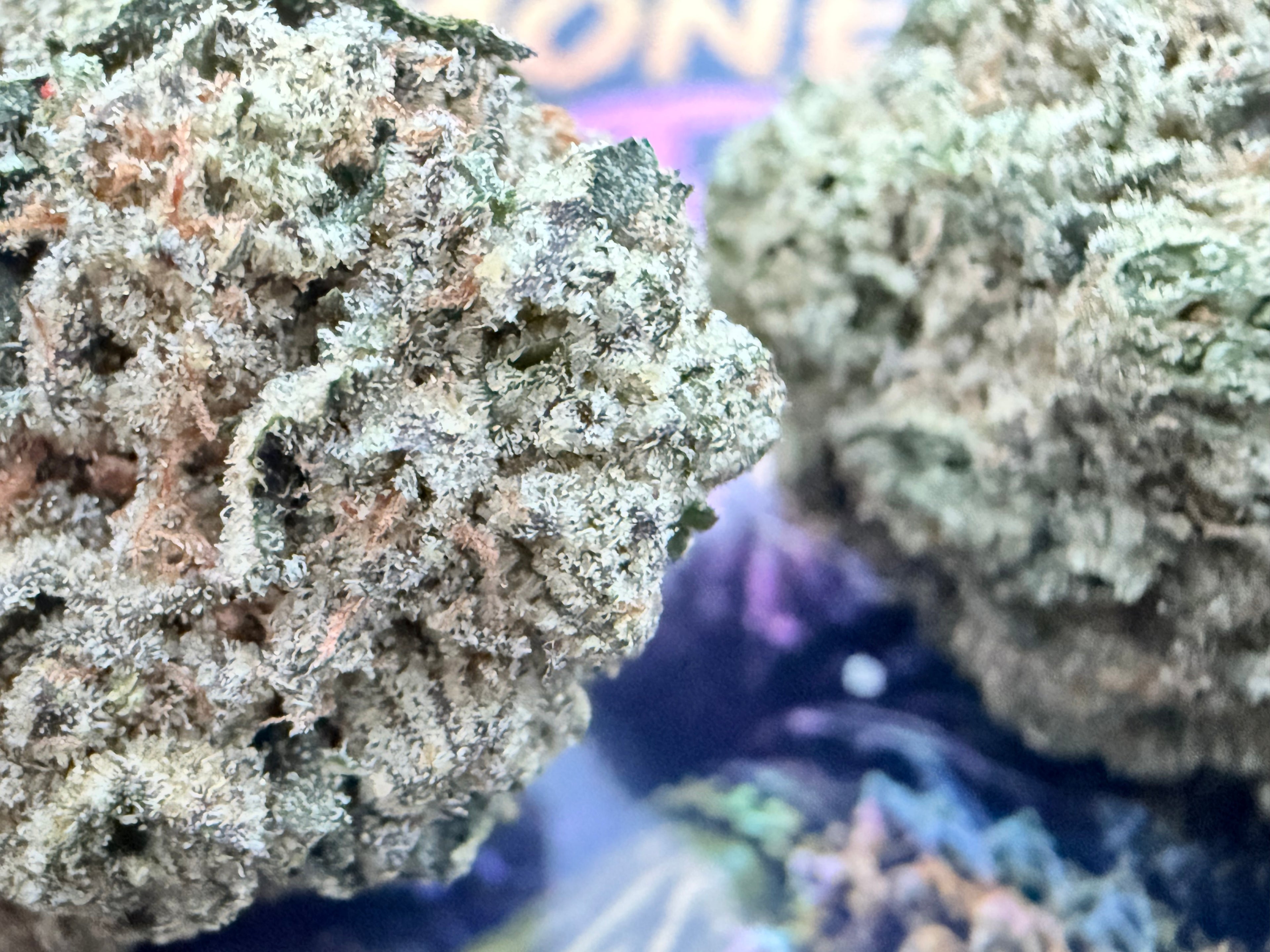 MoneyBagg Runtz – Fleurs THCA Exotic Premium AAAA+