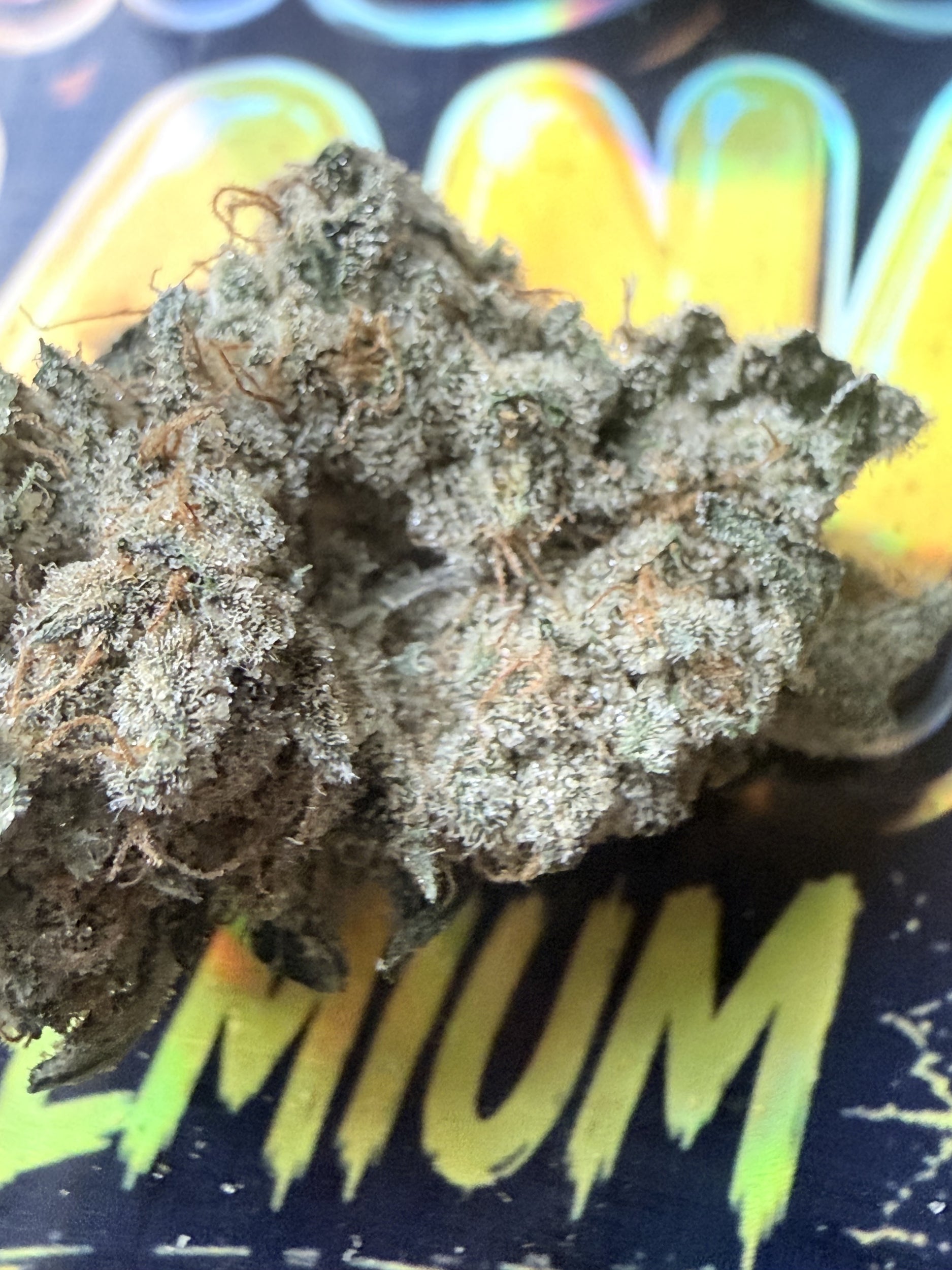 HARIBO BANANA FLEURS THCA PREMIUM AAAA+ SMALL BUD