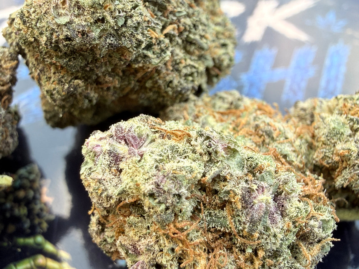 Black Zushi – Fleurs THCA Premium AAAA+