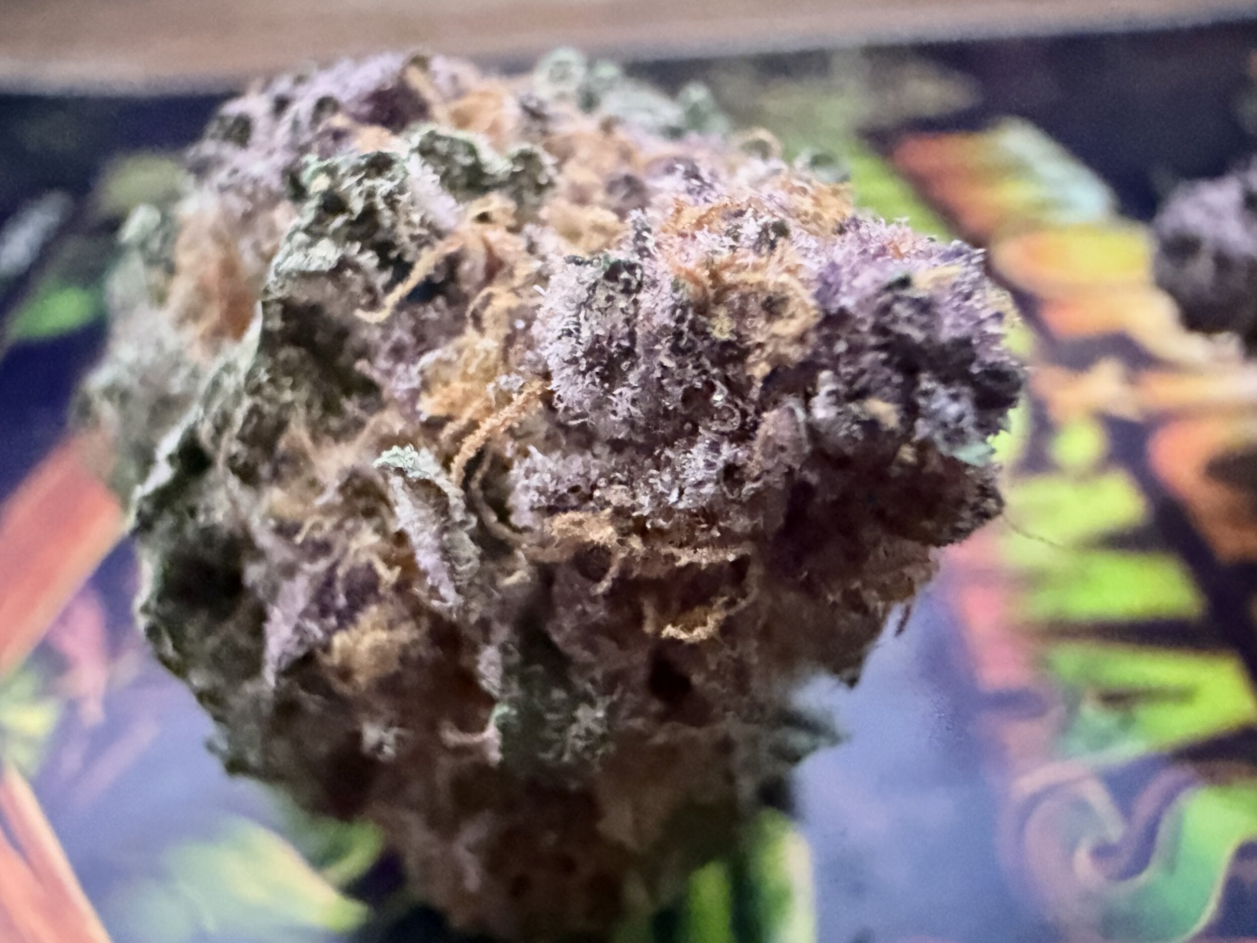 TROPICANA CHERRY × HULK SMASH – FLEURS THCA PREMIUM AAAA+
