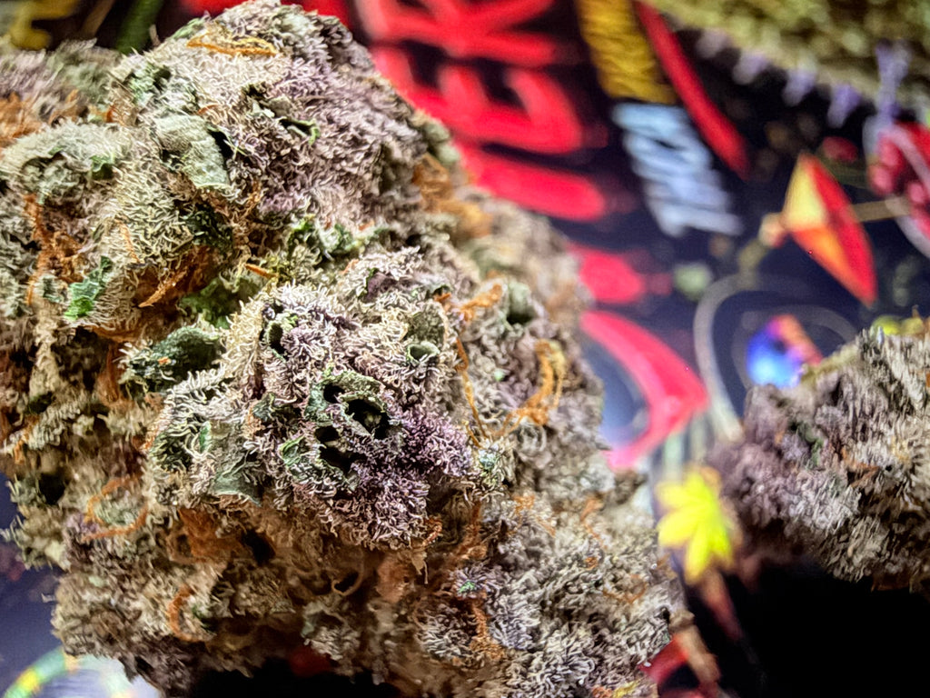 Super Boof Cherry THCA Premium AAAA+ – Fleur THCA Indoor