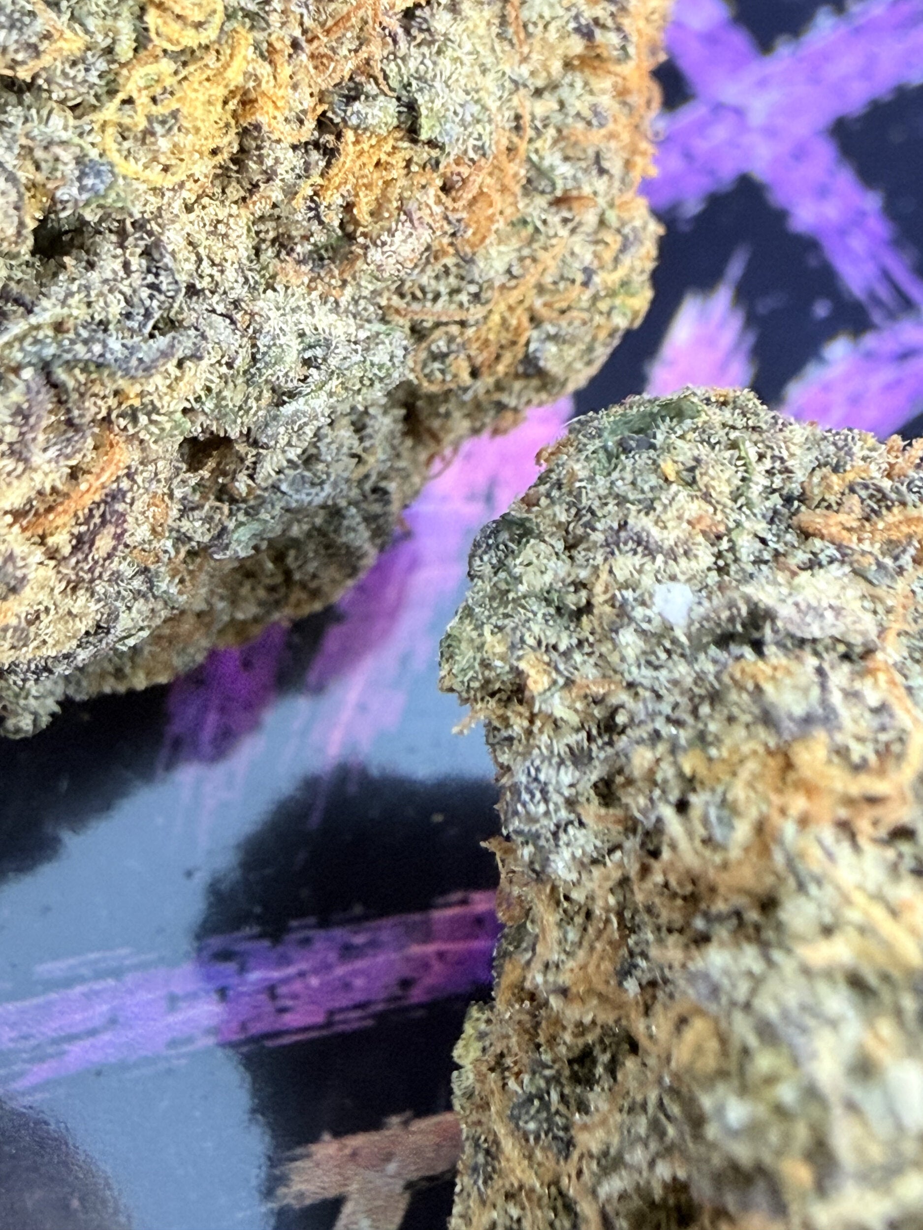 SUPER BOOF X ZANGRIA FLEURS THCA PREMIUM AAAA+