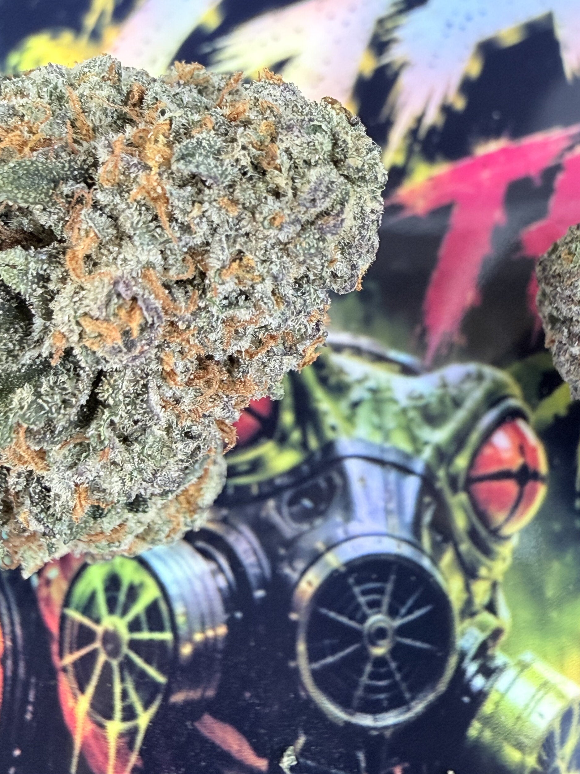 GRAPE GAZ FLEURS THCA PREMIUM AAAA+