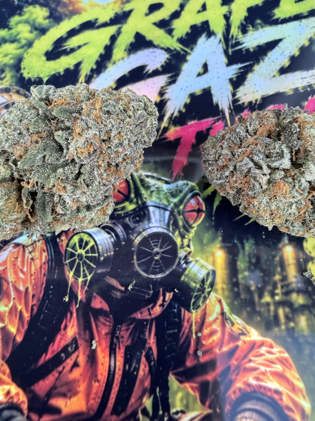 GRAPE GAZ FLEURS THCA PREMIUM AAAA+