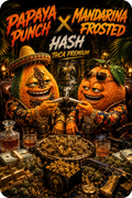 PAPAYA PUNCH x MANDARINA FROSTED HASH THCA PREMIUM AAAA+