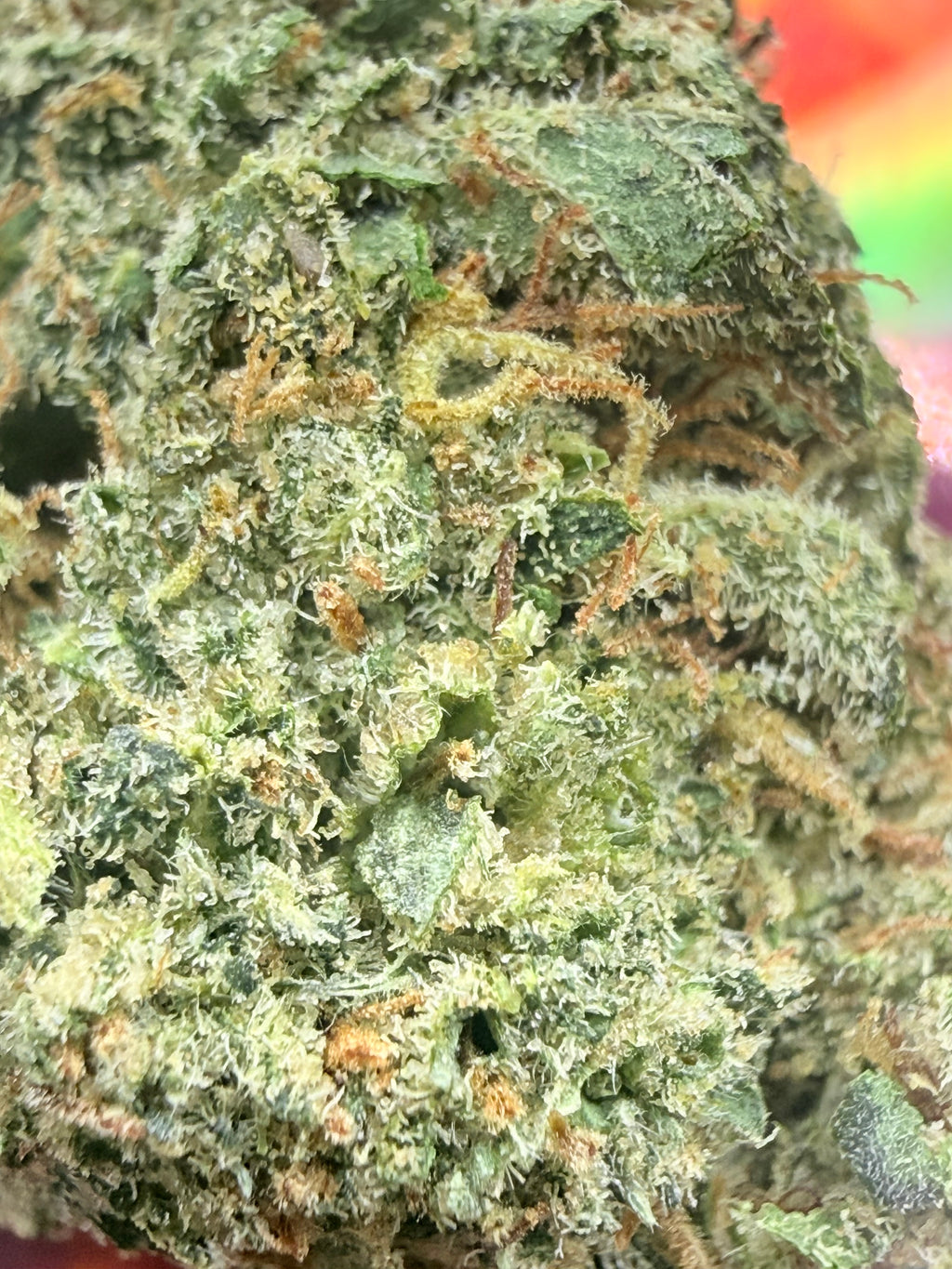 LEMON CHERRY GELATO CBD PREMIUM CALIFORNIE