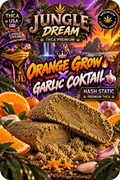 HASH STATIC ORANGE GROW × GARLIC COCKTAIL – THCA PREMIUM AAAA+