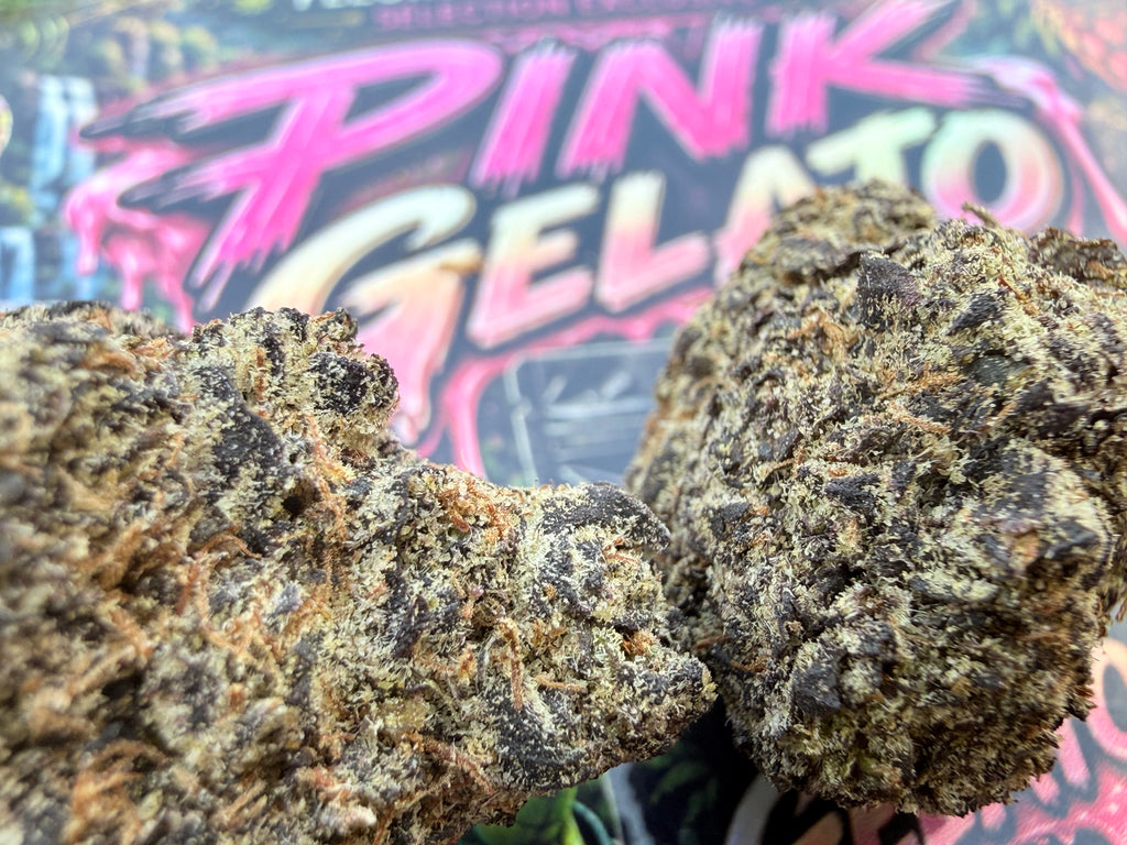Pink Gelato SMALL BUD THCA Naturel Premium AAAA+