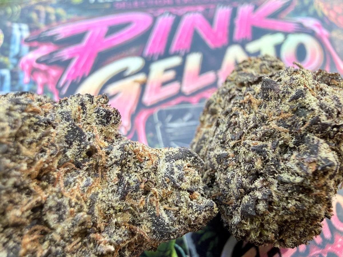 Pink Gelato SMALL BUD THCA Naturel Premium AAAA+