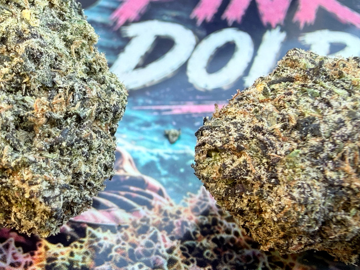 Pink Dolphin - Fleurs THCA Exotic Premium AAAA+