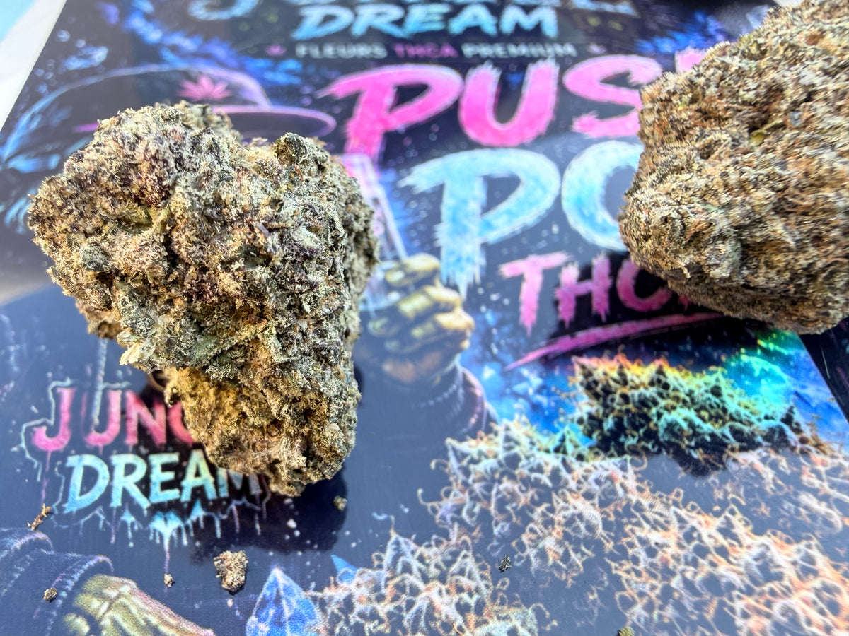 Push Pop - Fleurs THCA Exotic Premium AAAA+
