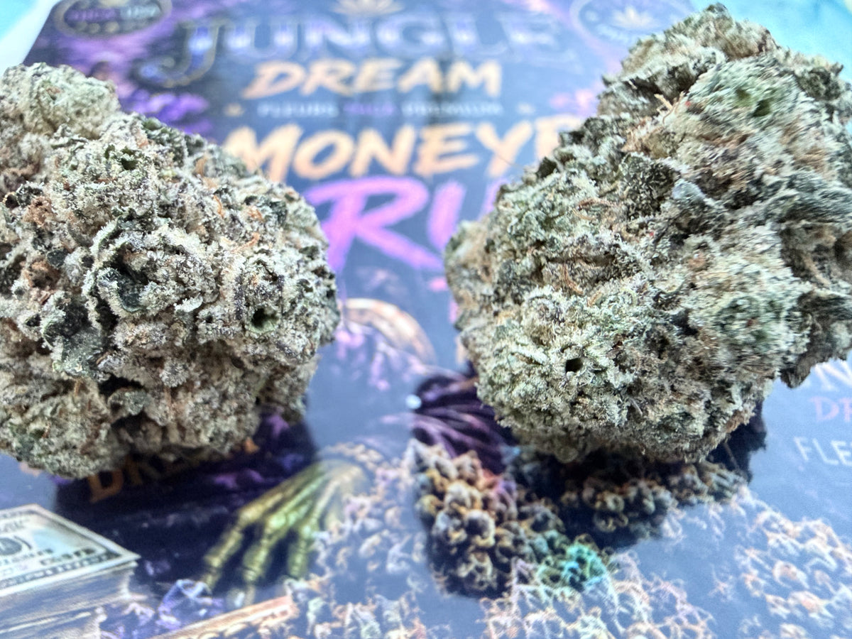 MoneyBagg Runtz – Fleurs THCA Exotic Premium AAAA+