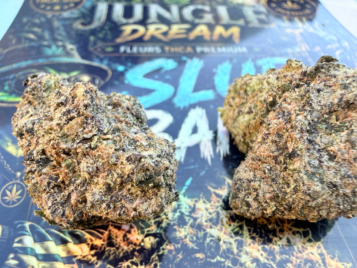 Slurbanger – Fleurs THCA Exotic Premium AAAA+