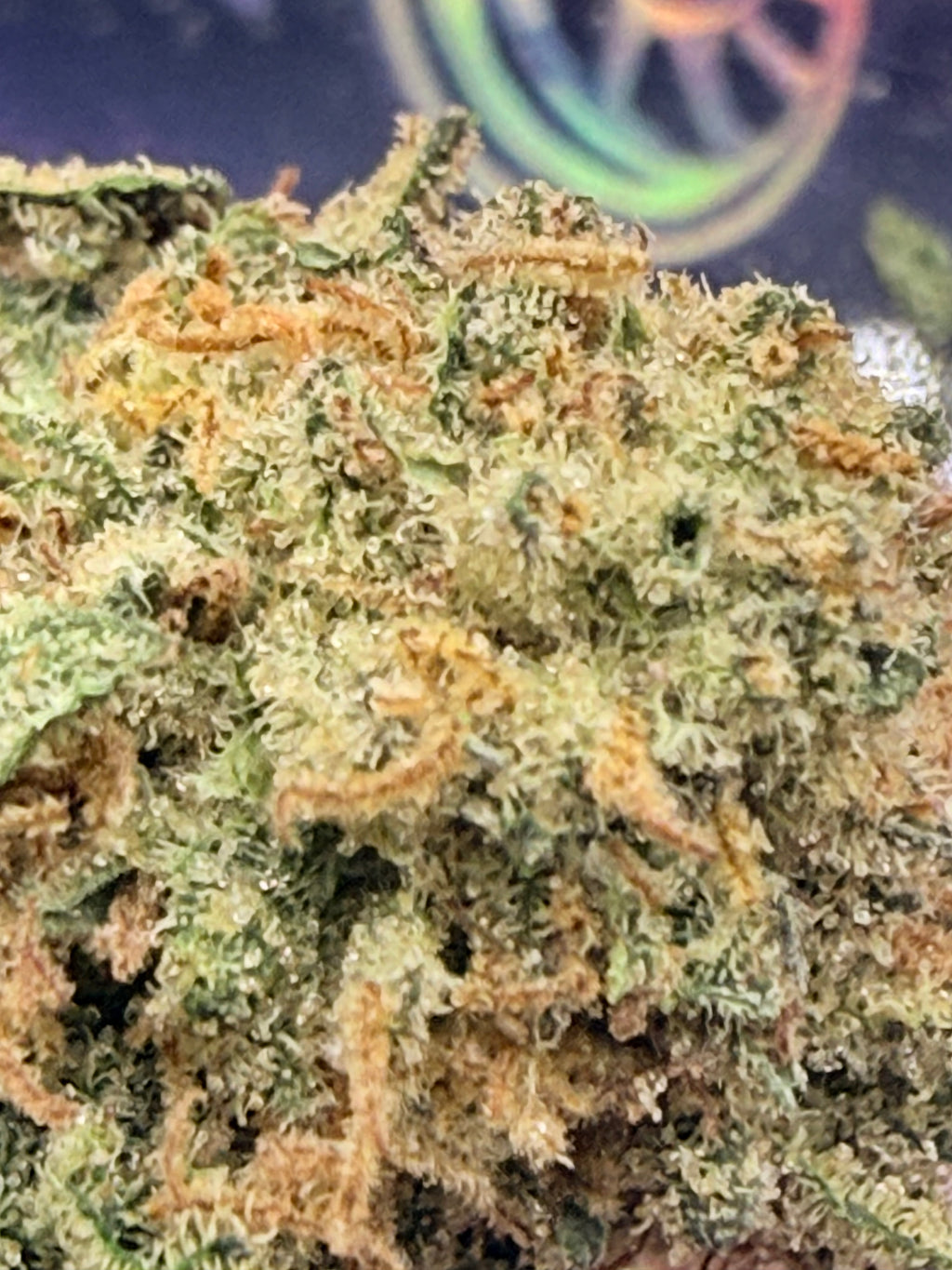 SUNSET SHERBET CBD PREMIUM CALIFORNIE