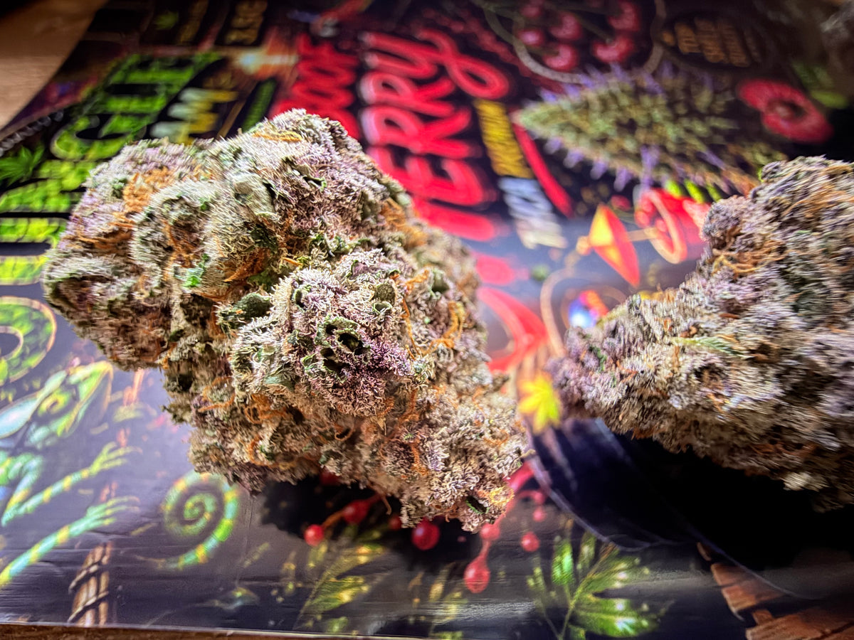 Super Boof Cherry THCA Premium AAAA+ – Fleur THCA Indoor