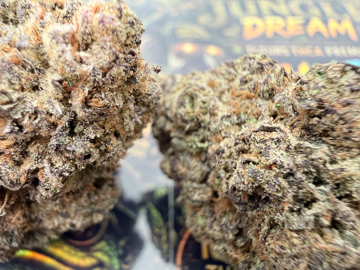 Rainbow Runtz – Fleurs THCA Premium AAAA+