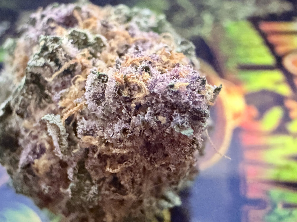 TROPICANA CHERRY × HULK SMASH – FLEURS THCA PREMIUM AAAA+