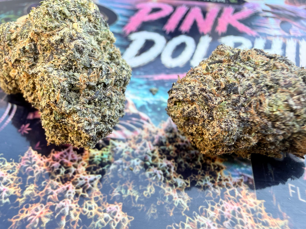 Pink Dolphin - Fleurs THCA Exotic Premium AAAA+
