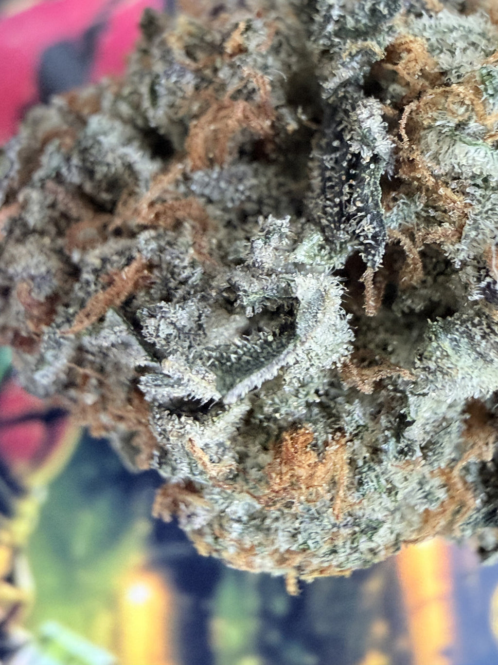GRAPE GAZ FLEURS THCA PREMIUM AAAA+