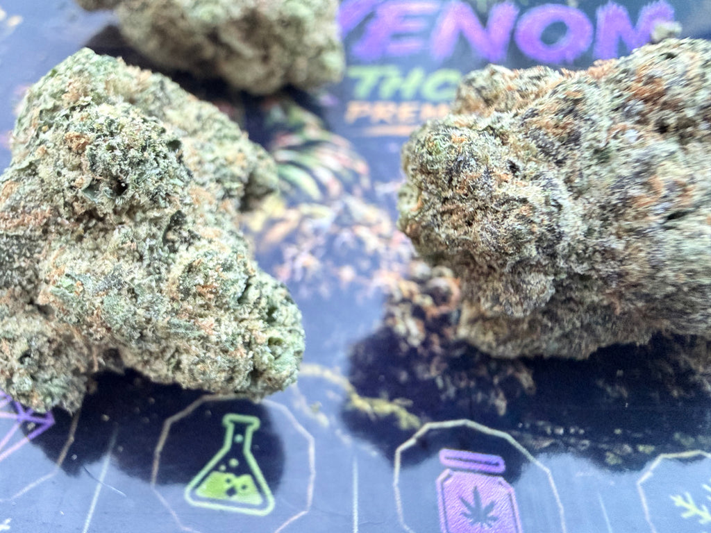 Toad Venom – Fleurs THCA Exotic Premium AAAA+