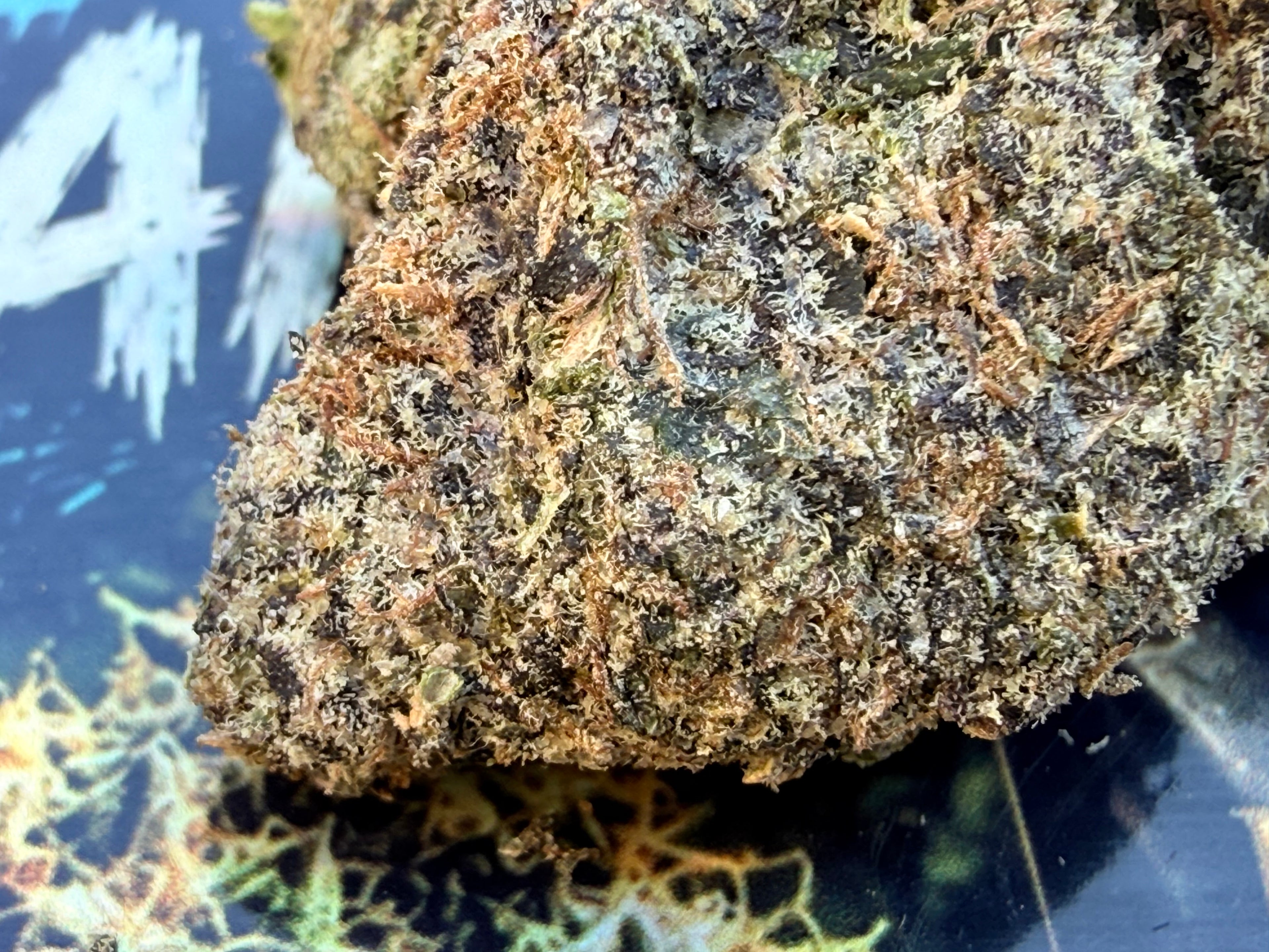 Slurbanger – Fleurs THCA Exotic Premium AAAA+
