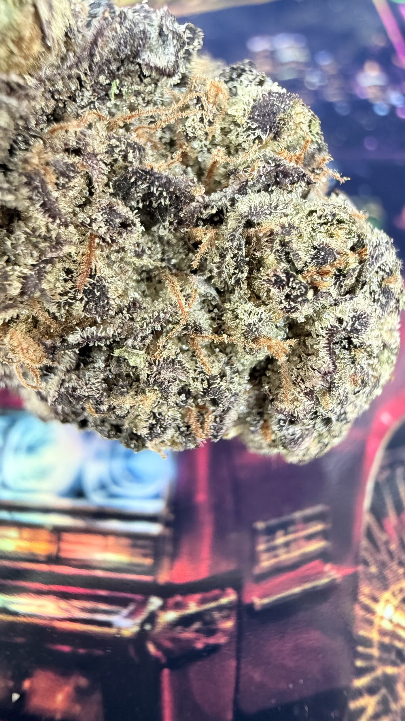 RAINBOW DRIVER FLEURS THCA – PREMIUM AAAA+