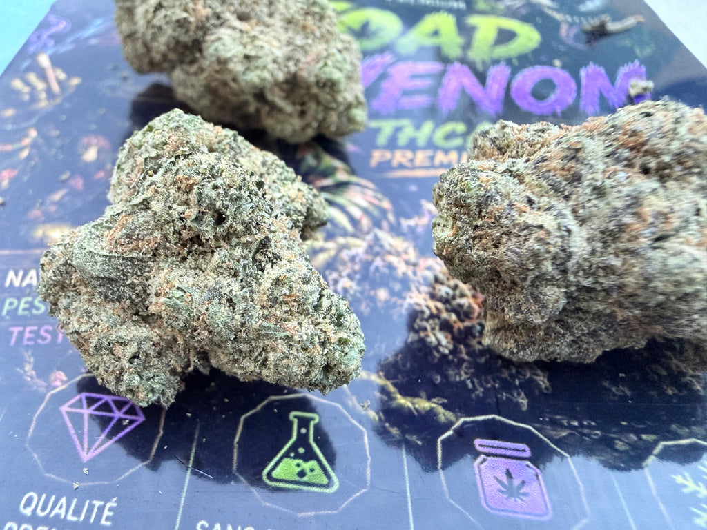 Toad Venom – Fleurs THCA Exotic Premium AAAA+